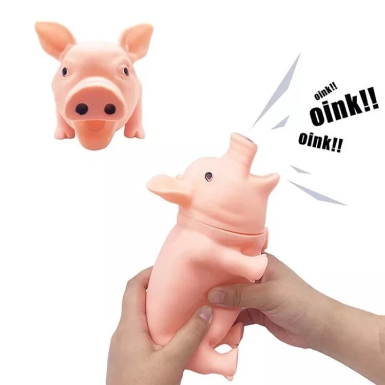 Dog Chew Toy