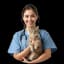 Cats Health Care