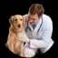 Dogs Health Care