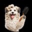 Dogs Hair Brusher
