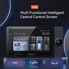 Zigbee - 6 Inch Touch Screen - Multifunction Switch