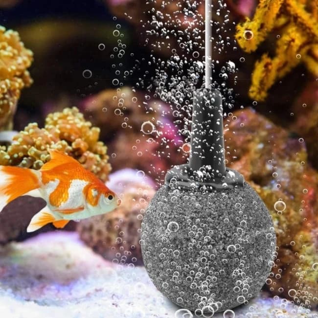 Bubble Diffuser Stone