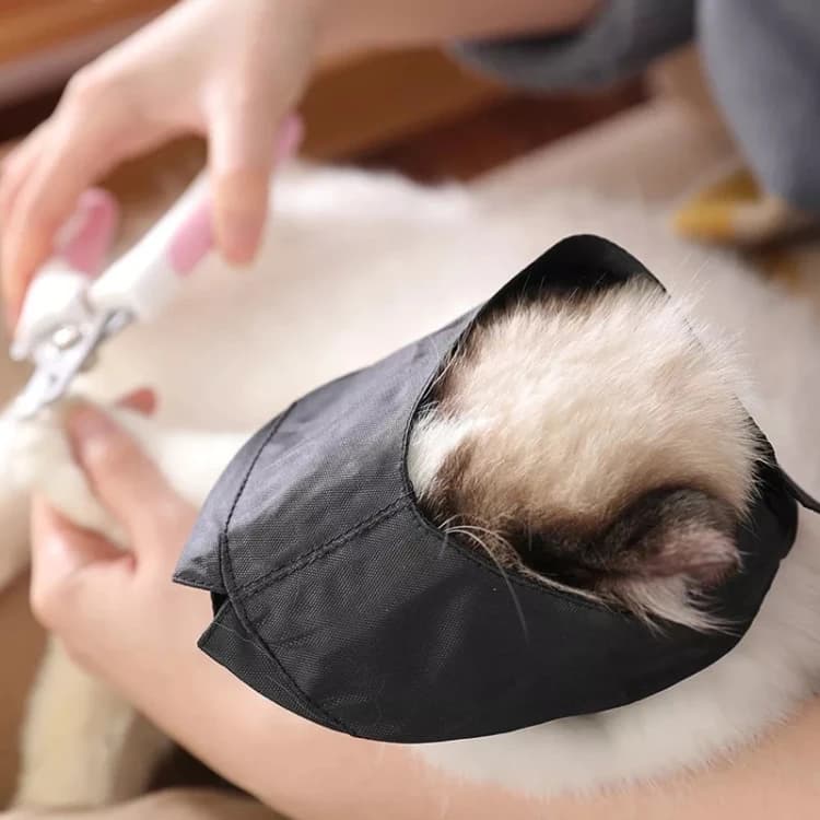 Medical Cat Muzzle