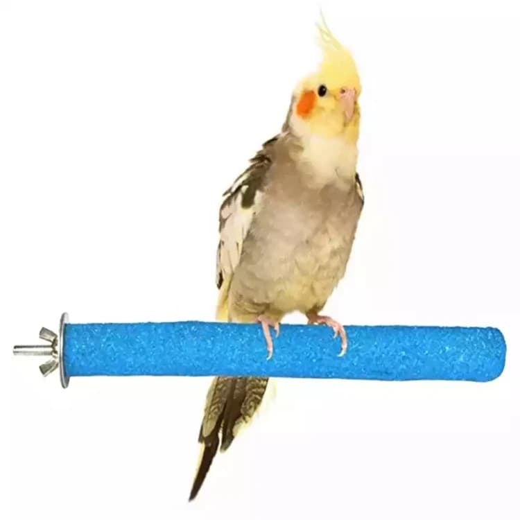 Bird Beak & Nail File