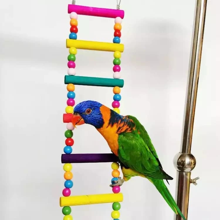 Bird Ladder