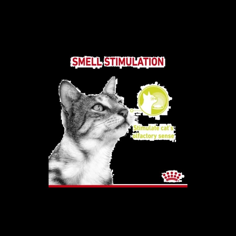 SENSORY SMELL 85G