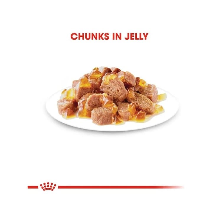 INSTINCTIVE IN JELLY 85g