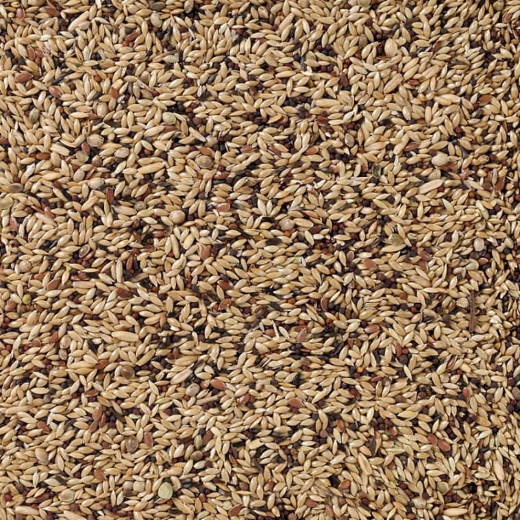 DN PREMIUM CANARIES 1KG