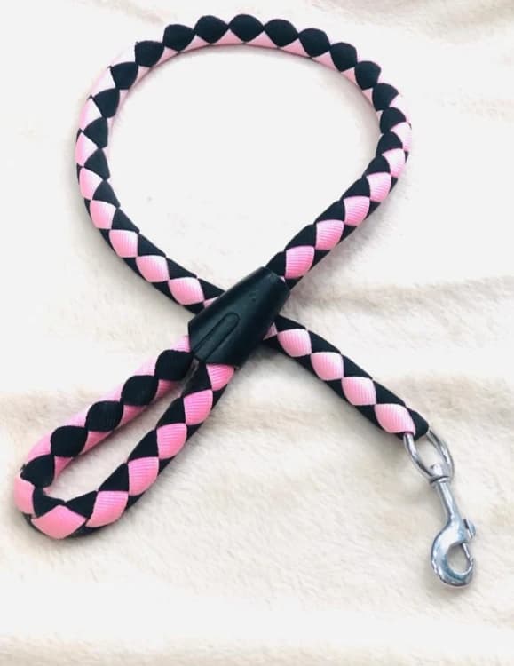 Dog Walking Leash