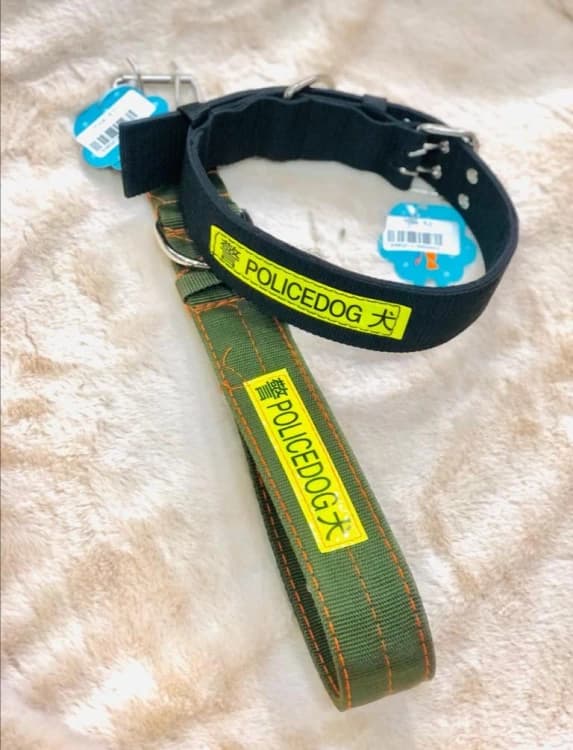 Large Dog Collar