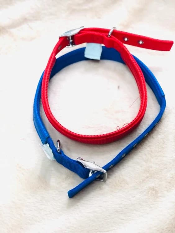 Medium Dog Collar