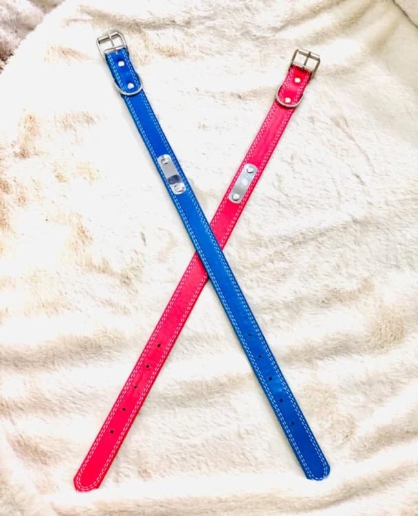 Dog Collar