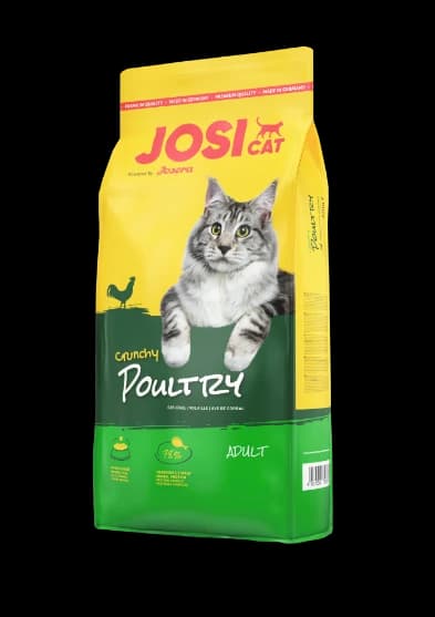 Josi Cat poultry