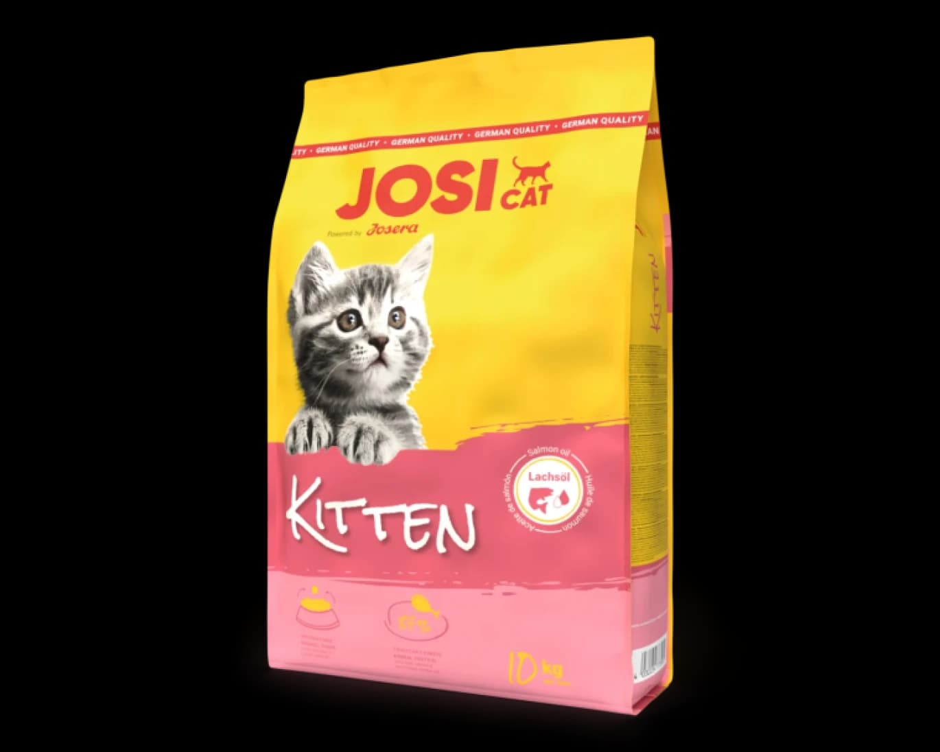 Josi Cat Kitten