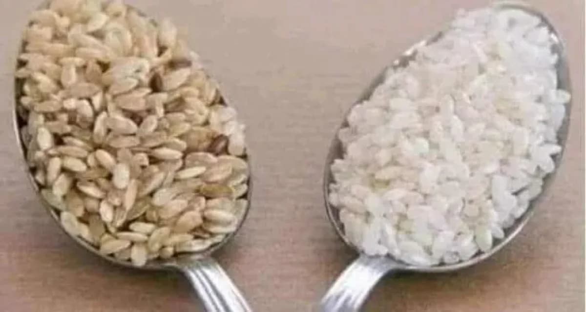 Which is the best rice or bulgur for the diet