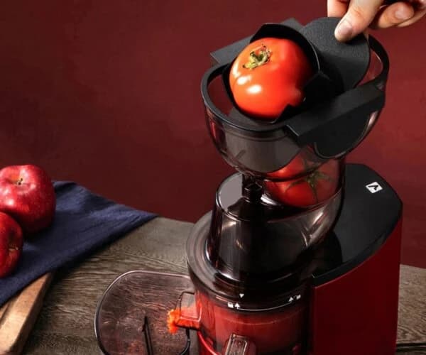 Sokany Slow Juicer
