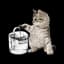 Cat Water Fountains