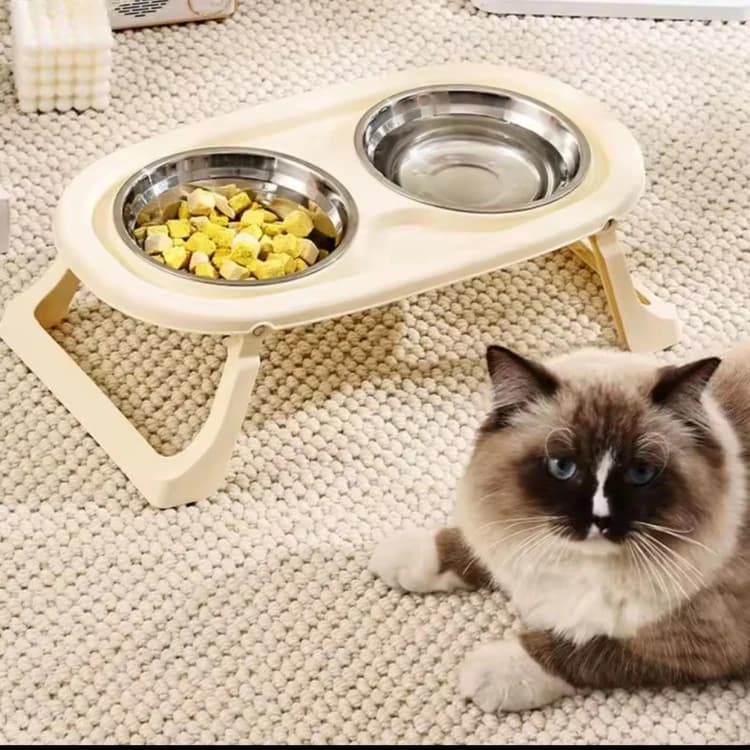 Raised Stainless Steel Bowl