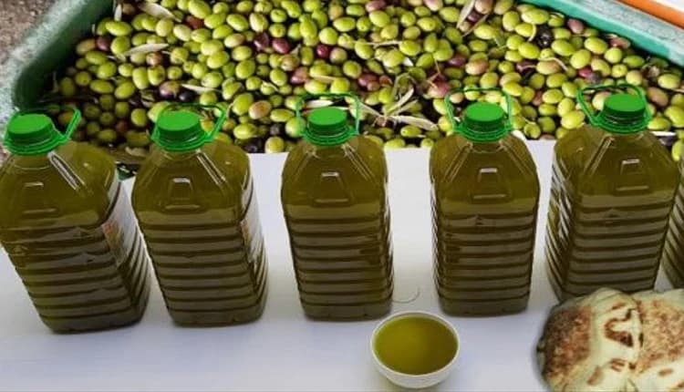olive oil