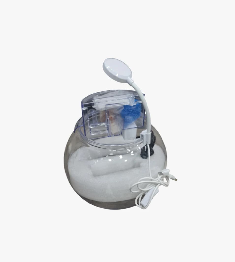 Round LED Light Lamp with Clear Glass Basin and Portable Design for Home Offices