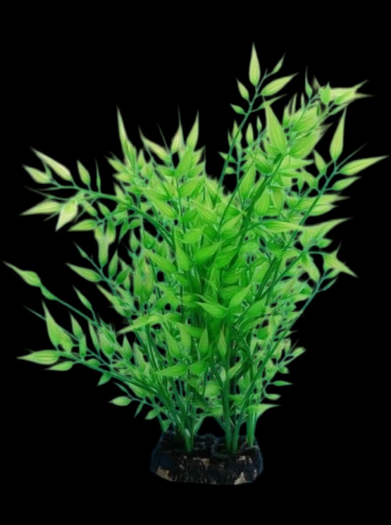 Aquarium Grass Decorative Plants with Natural Design, Perfect for Aquarium Enthusiasts by Aquarium Grass Brand
