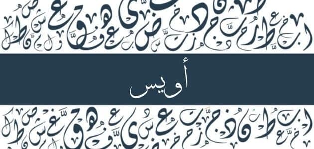 Meaning of the name Owais
