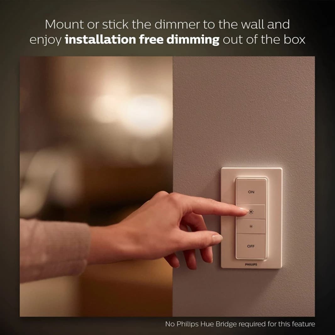 Philips Hue Light Switch
