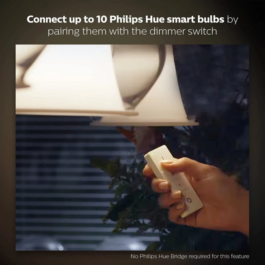 Philips Hue Light Switch