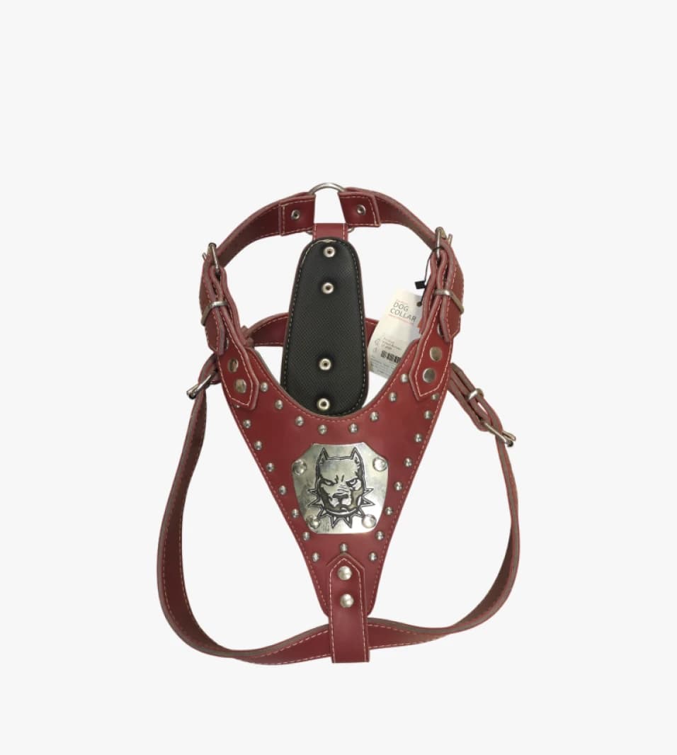 Luxury Collar Dog Set with Premium Sturdy Design for Pets - Unisex, Adjustable and Safe for Your Beloved Animals
