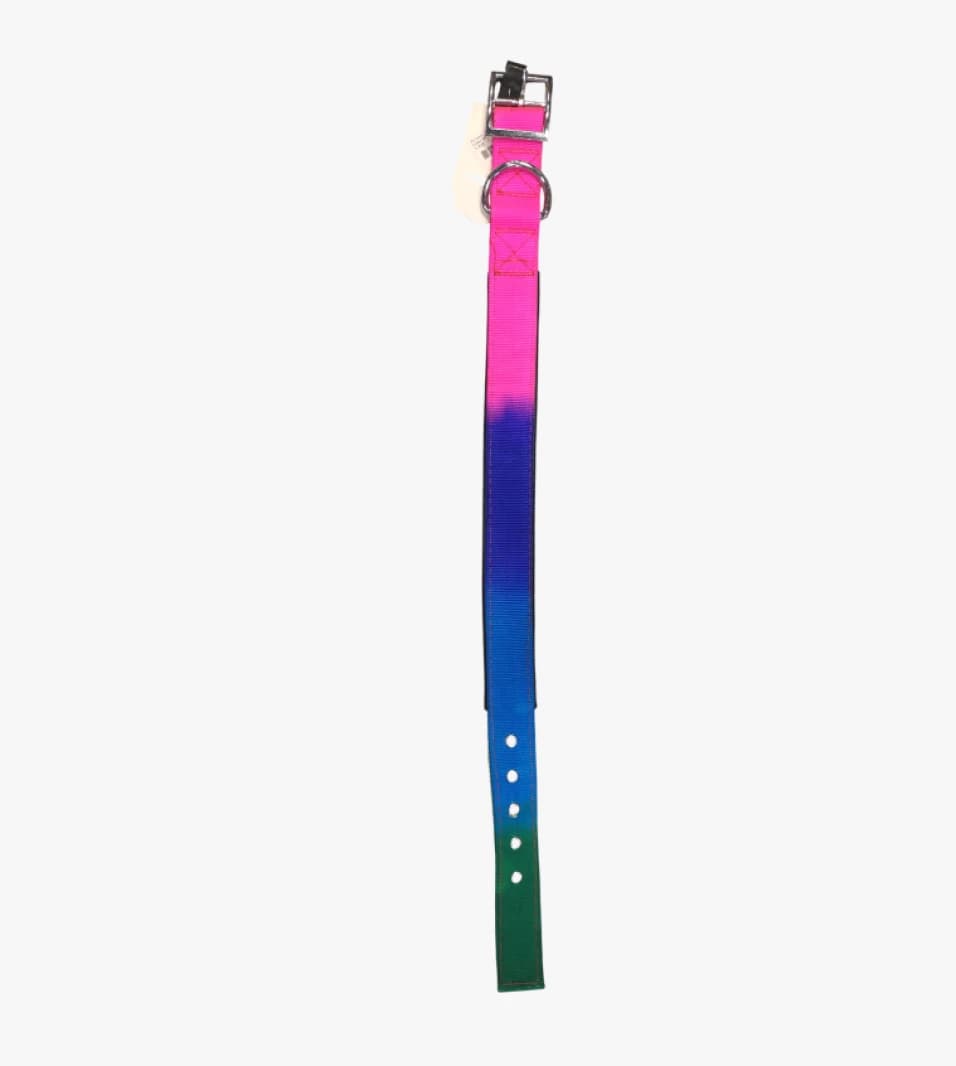 Rainbow Multicolor Pet Collar with Modern Design for Pets Like Dogs and Cats, Suitable for All Sizes, Durable Fabric