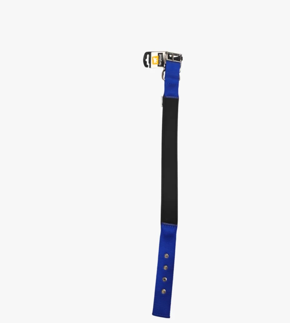 Forpet Premium Pet Collar, Blue Dog Collar with Stylish Design Suitable for All Ages and Sizes