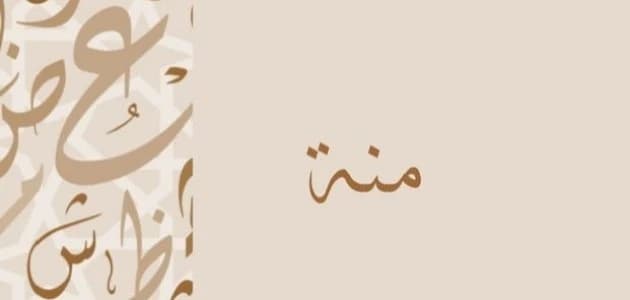 Meaning of the name Menna