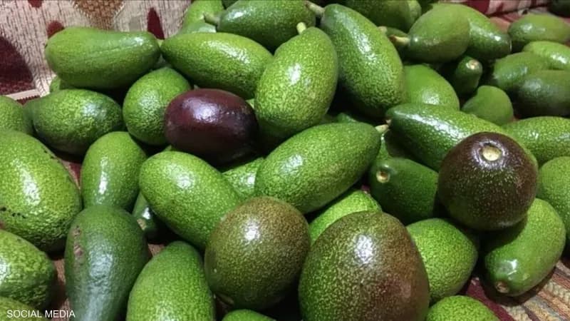 Green gold