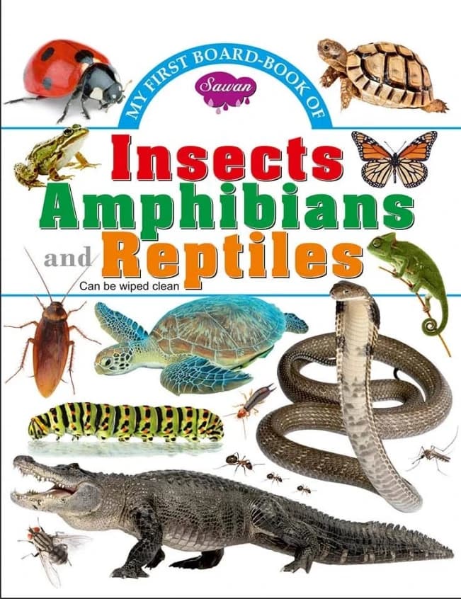 Insects Amphibians And Reptiles • 2020