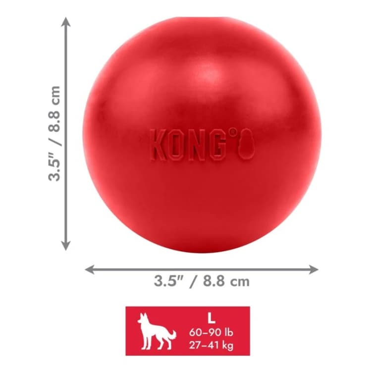 KONG Ball w/Hole L