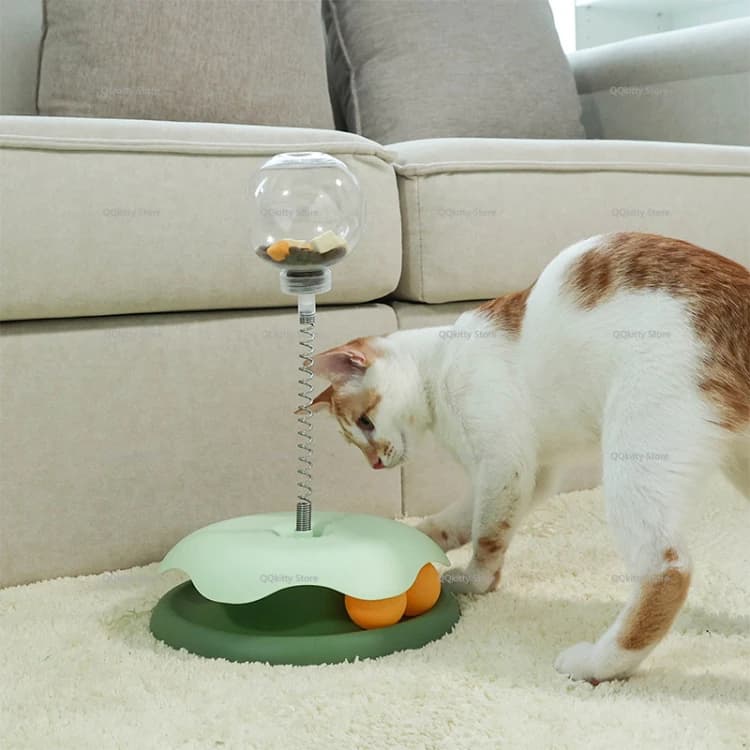 Interactive Puzzle Toy