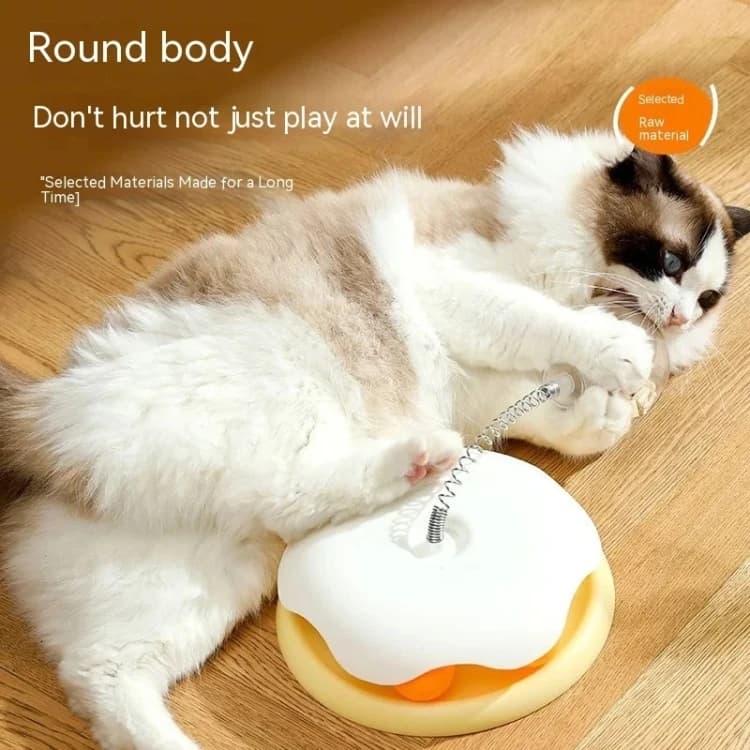 Interactive Puzzle Toy