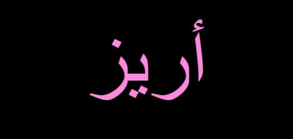 Meaning of the name Areez