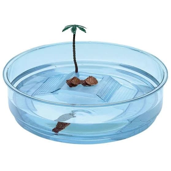 Ferplast Turtle Bowl Oasi transparent Blue