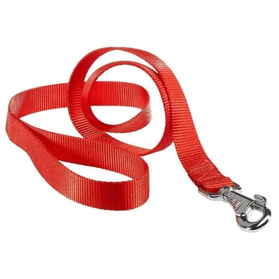Ferplast Club G25/120 Nylon Lead Red