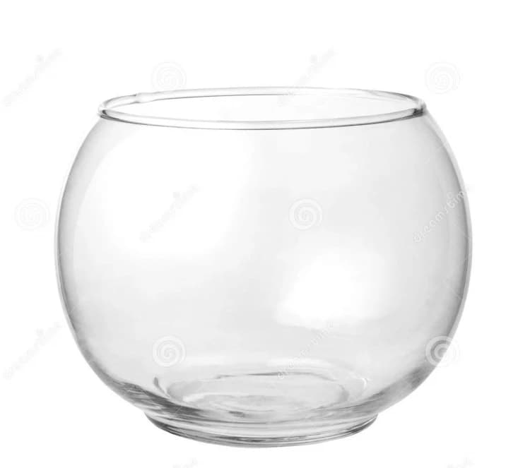 Empty Fish Bowl