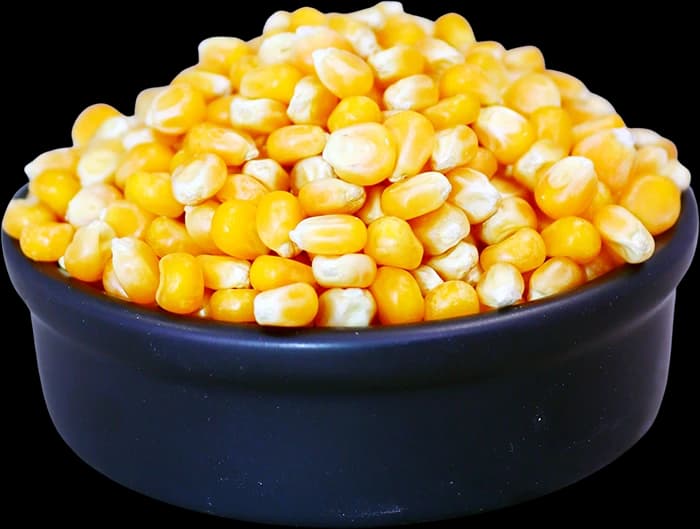 Popcorn Kernels