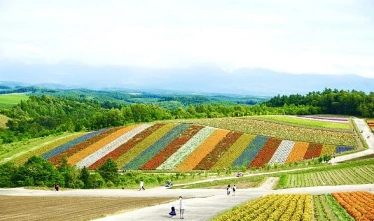 Hokkaido island