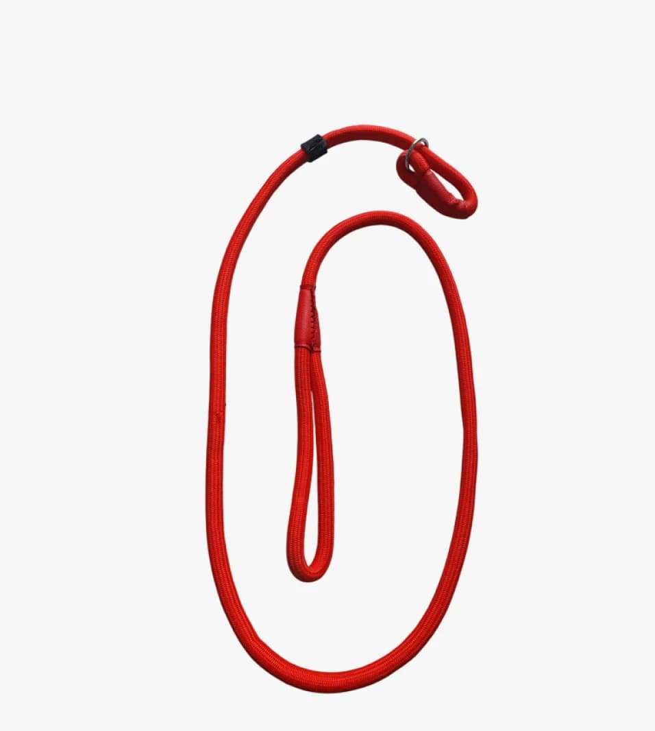 Durable and Stylish Leash with Safety Clip for Medium and Large Dogs by Renowned Brand