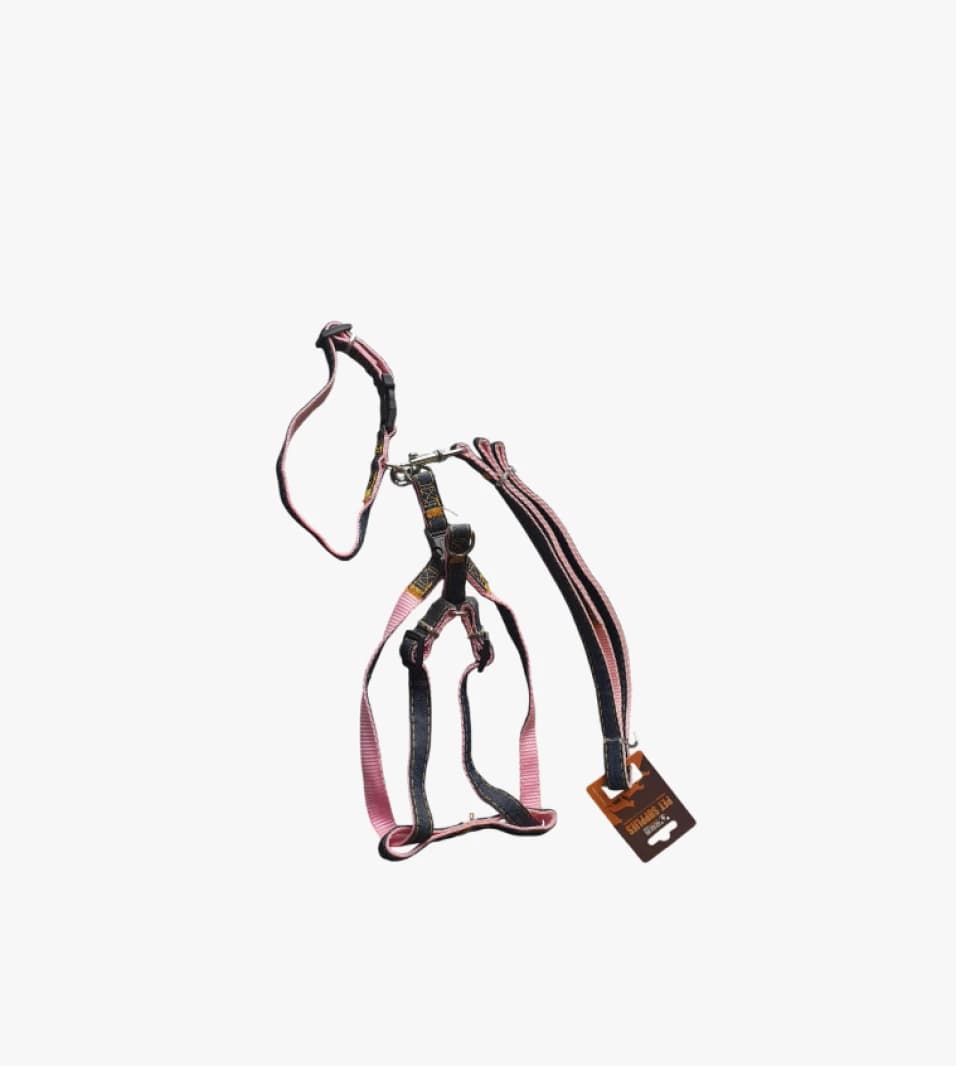 Pet Frames Fitness Harness for Dogs, Sturdy Design, Easy to Use for Small and Medium Pets