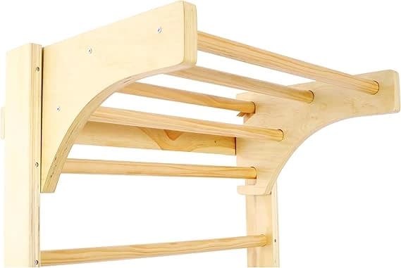 Original Exercise Ladder