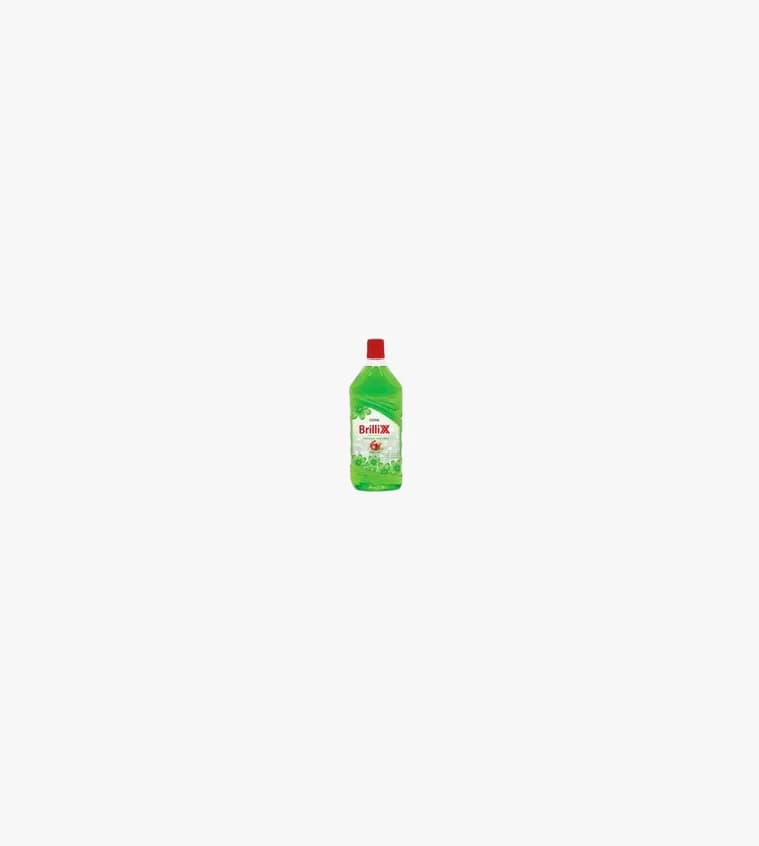 Brillix Multi purpose cleaner - Green