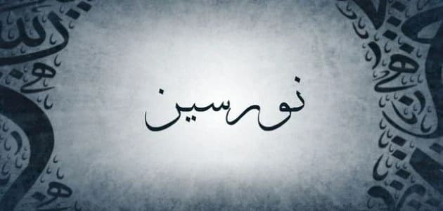 Meaning of the name Norseen