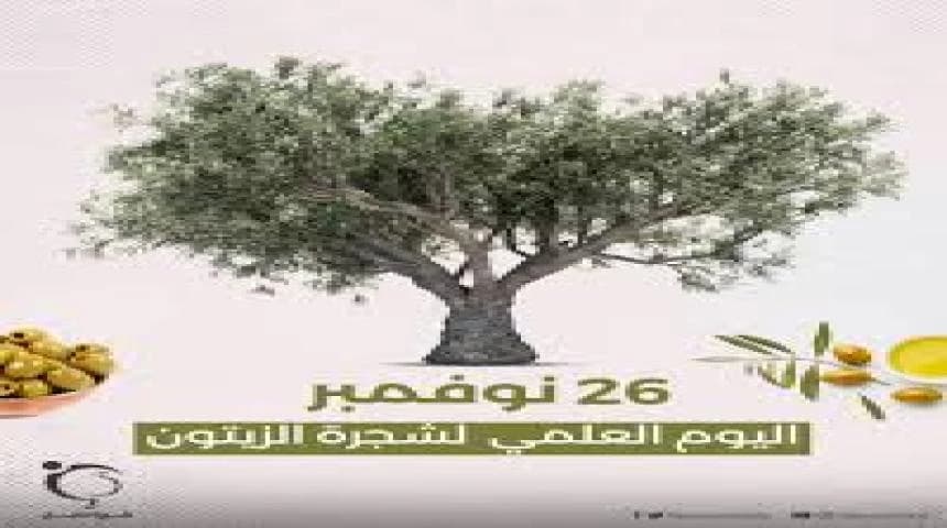 World Olive Tree Day