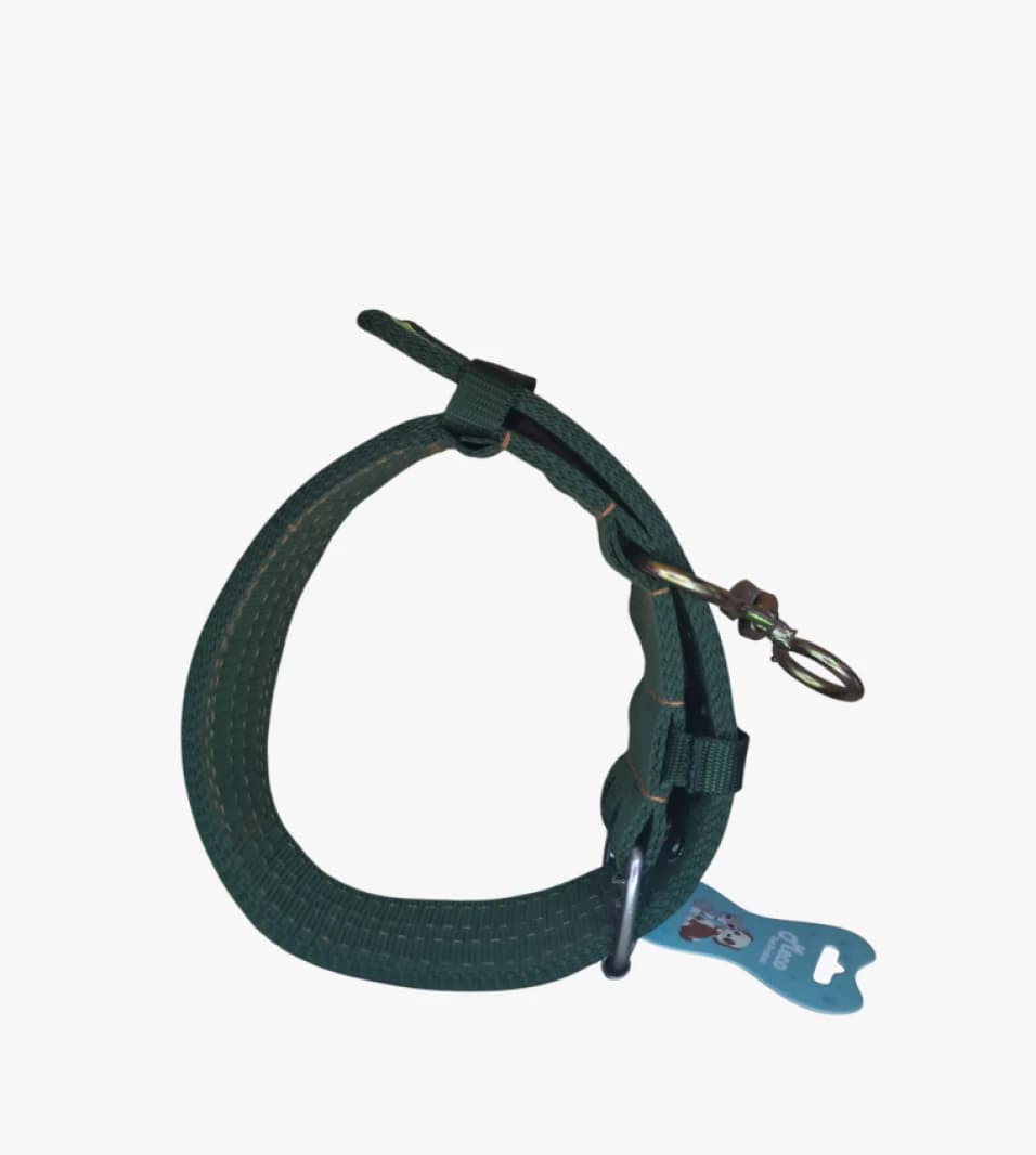 Eco-Friendly Large Dog Collar for Walking with Rust-Free and Comfortable Design for Your Beloved Pets